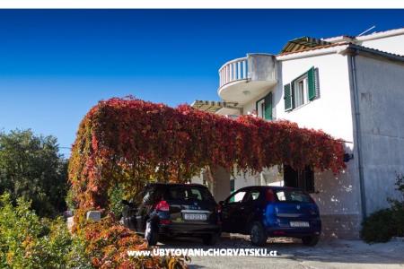 Apartment Jelena photo 3