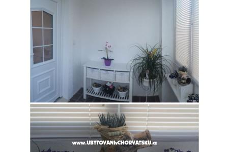 Apartment Nikola photo 4