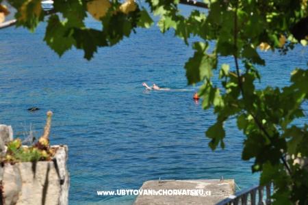 Apartment Zoranka on the beach photo 5