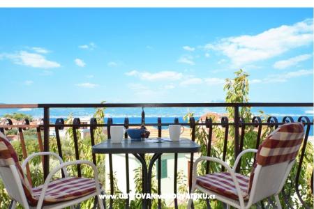 Apartments  Mirjana photo 3