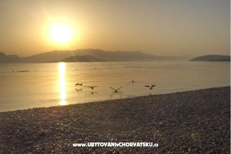 Apartments Boa  photo 5