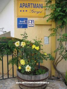 Apartments Gogi photo 2