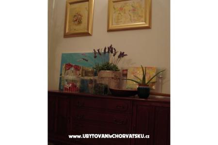 Apartments Gogi photo 5