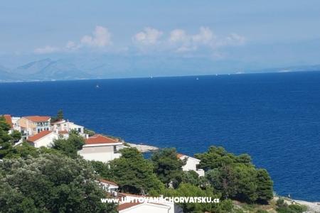 Apartments Ivan Okrug Gornji photo 4