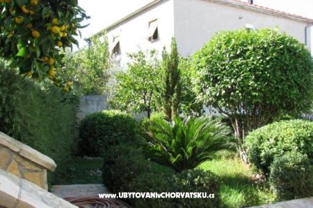 Apartments Marin photo 5