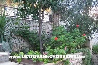 Apartments RIA photo 5