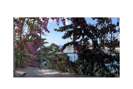 Apartments Tereza photo 4