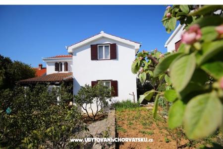 Apartments NIKA photo 4