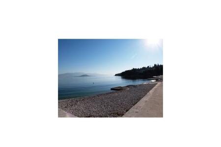 Apartments Sofija photo 5