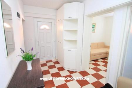 Genesis Apartments  photo 3