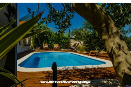 The Three Flowers Pool House photo 5