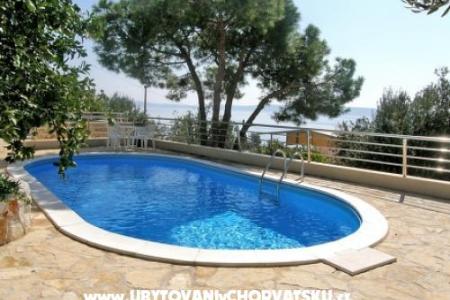 VILLA DALMATIA photo 3