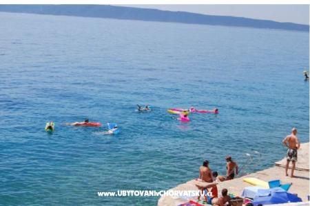 Vacation house Oliviano photo 4