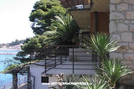 Apartment Montana M photo 3