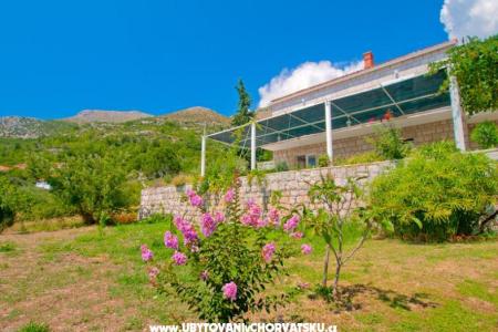 Villa Boskovic photo 2