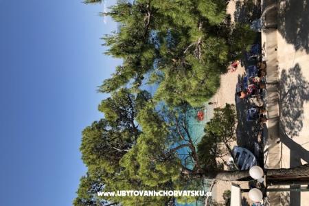 Apartments Mihaljević-Olea photo 5