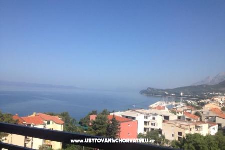 Apartments Olga  photo 5