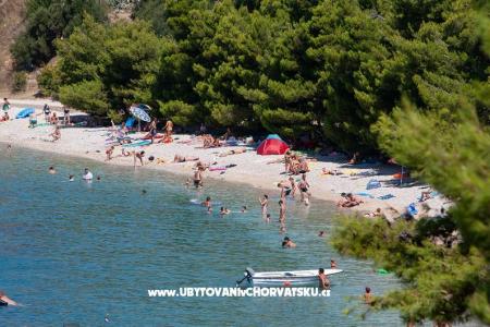 Apartments Barbara photo 3