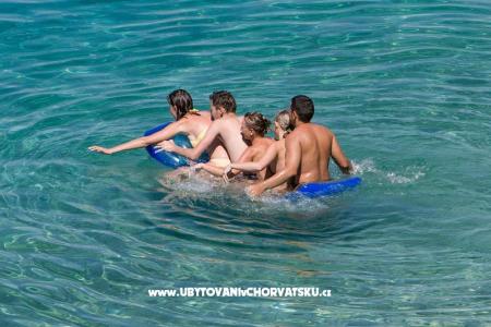 Apartments Barbara photo 4