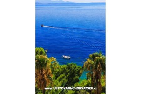 Apartments Malina i Krsto photo 5