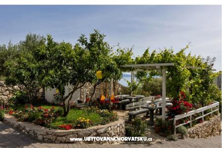 Villa Katarina photo 4