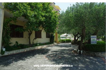 Villa Jedini photo 3