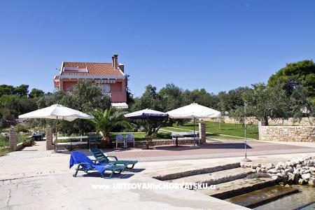 Apartments Benic Island of Ugljan Croatia