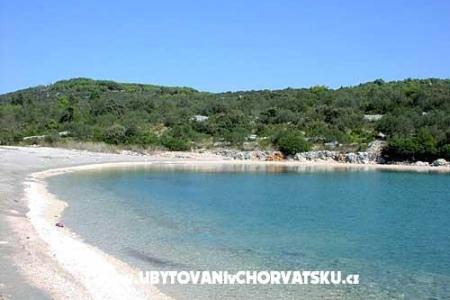 Apartments Vidov photo 5