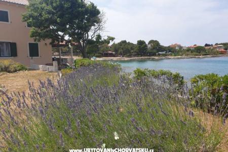 Kućerina Batalaža photo 3