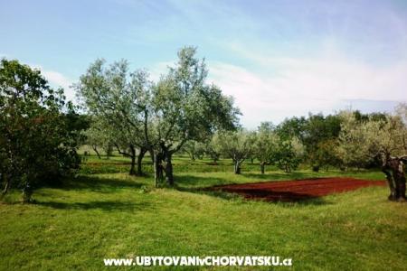 Apartments Linda photo 3