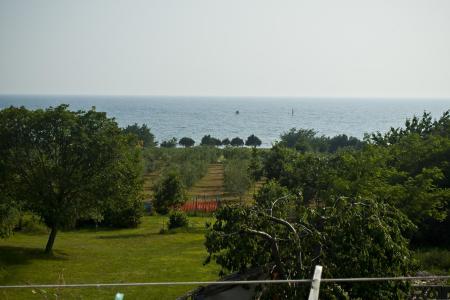 Apartments Paradinovic photo 2