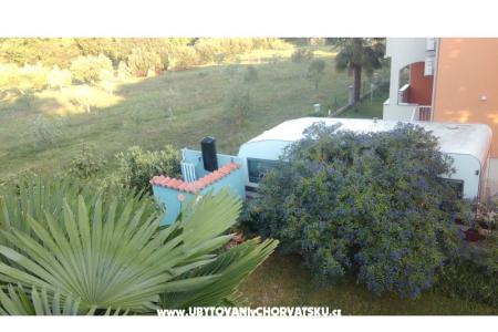 Laureta Umag photo 2