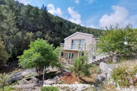 Tina's house  photo 3