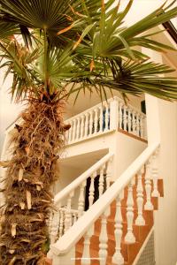 Apartment Bura photo 3