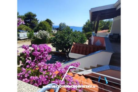 Apartments Delfin Island of Vir Croatia