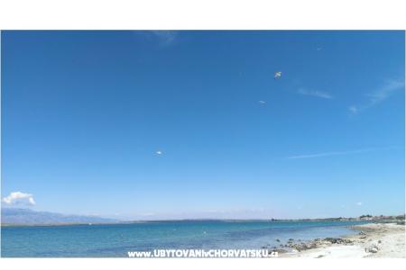 Apartments Alma Island of Vir Croatia