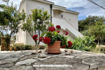 Apartments Budija / Viola Island of Vir Croatia