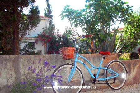 Apartments Peašinović photo 5