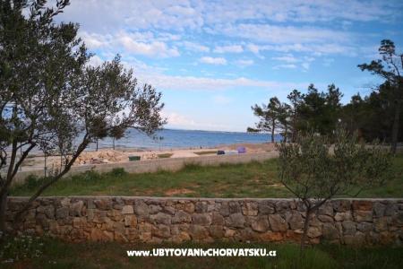 Apartments Pedic photo 5