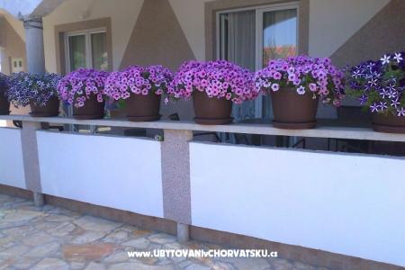 Apartments Robi photo 4