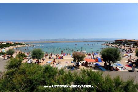 Apartment IVA - VIR photo 3