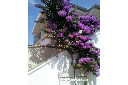 Apartments Galunić photo 2