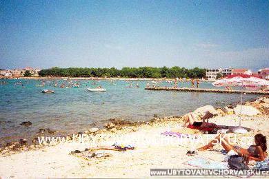 Apartments Radovic photo 2