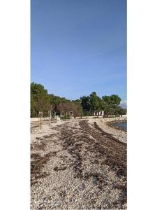 Apartments Traum Island of Vir Croatia