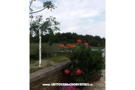 Apartments Vlašić photo 5