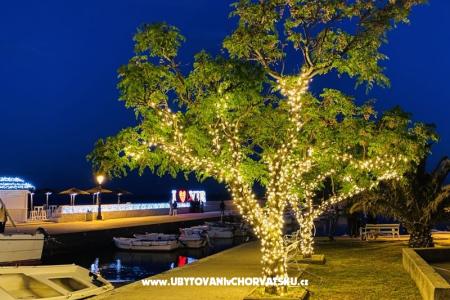 House Šijak photo 5