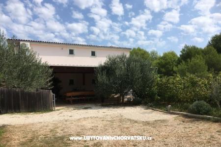 House Aqualis photo 4