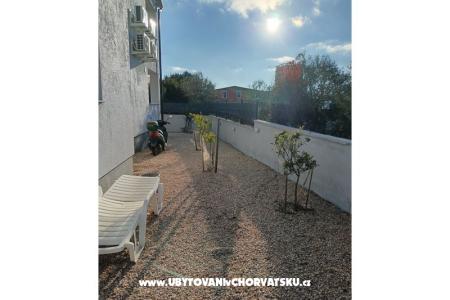 OLIVE RESIDENCE photo 2
