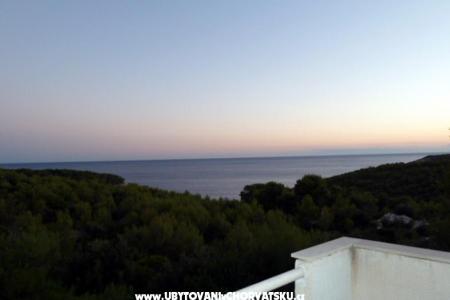 Apartments Janković Vis photo 3