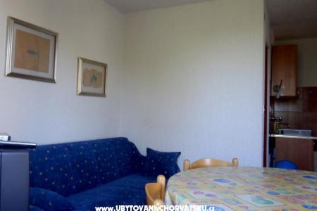 Apartments Janković Vis photo 4